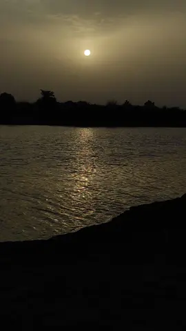 Haseen Shaam or Anup Jalota ghazal #foryou #fyp #ghazal #sukoon #piyar 