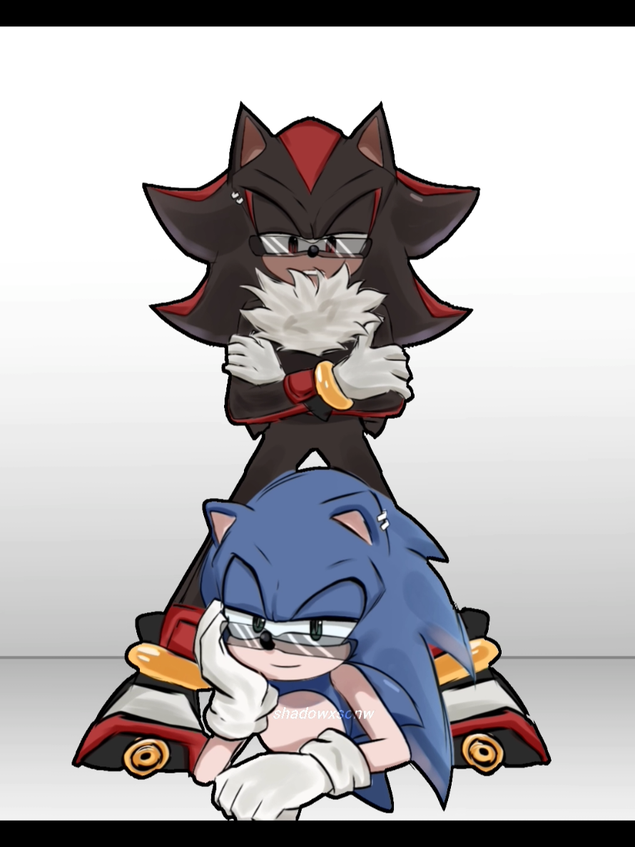 #SHADOW & #SONIC | I'm alive lol inst shadowxsonw  tgchanel shadowxsonww #shadowthehedgehog #sonicthehedgehog #sonadow duo #fyr #rge 