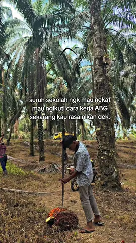 #petaniindonesia🇮🇩🇮🇩🇮🇩🌿🌿 #kulisawit #sawitontiktok #fyp 