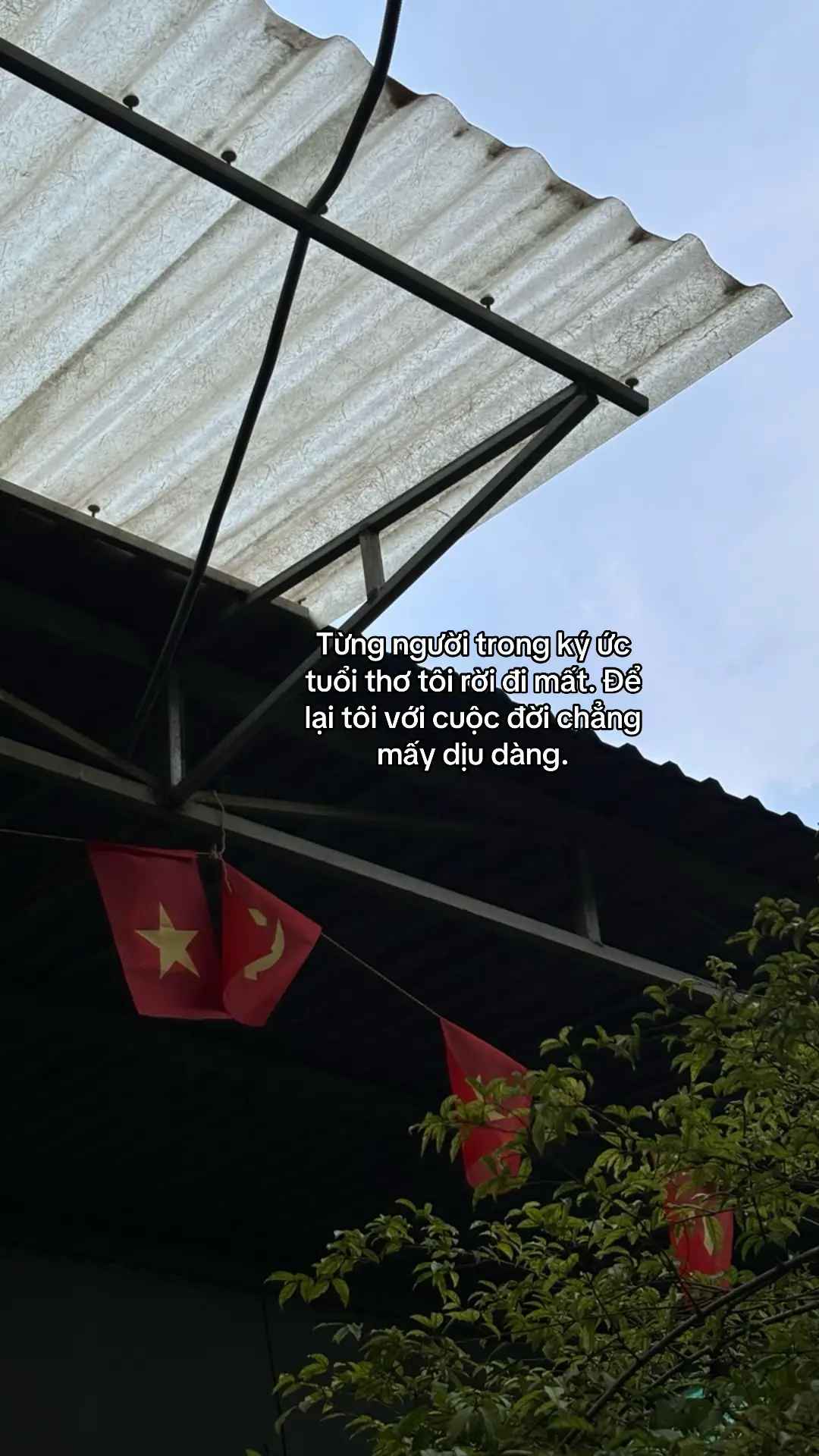🤍#xuhuong 