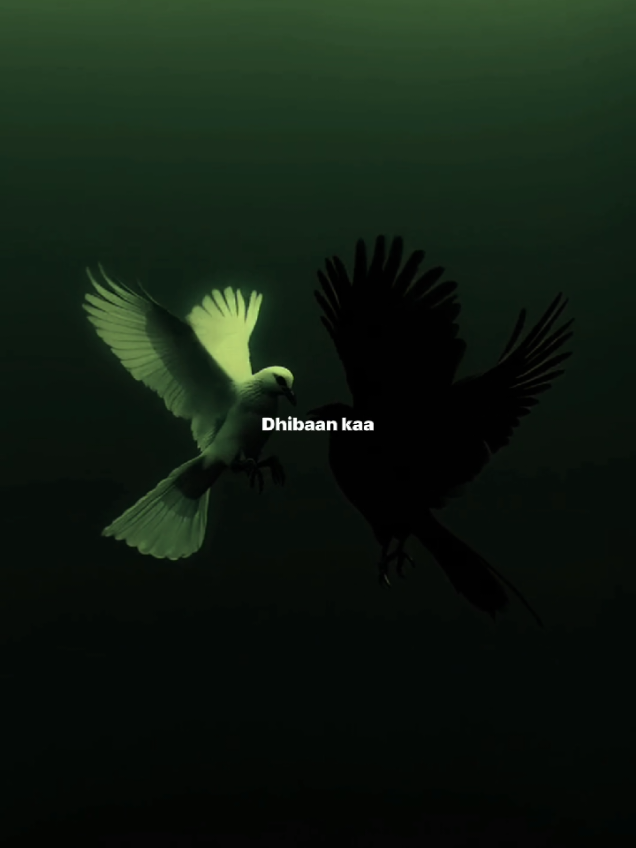 Naftan igu dhex nooley❤️‍🩹🫂 #fyyyyyyyyyyyyyyyy #foryoupage #fyp #somalilyrics🌺😕💎 #fyp #foryoupage #fyyyyyyyyyyyyyyyy 