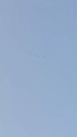 🕊️🕊️🕊️🕊️🕊️🕊️🕊️🕊️🕊️🕊️🧿🧿🧿🧿🧿🧿💝💝💝💝💝💝✨✨✨✌️✌️✌️✌️✌️