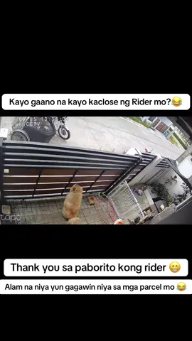 Kaclose nyo ndn ba mga delivery rider?😂 #delivery #rider #parcel #fyp #viral 