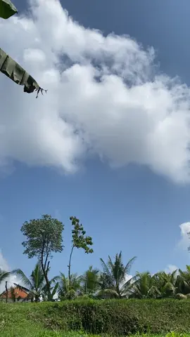 sikep pemecah awan🤩 #fyp #masukberanda #trending #sikep #pengambunsuper #layangan 