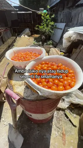 #fyppppppppppppppppppppppp #budidayalelemilenial #budidayalele #katakatamotivasi #katakatabijak #peternaklele #peternakikansukses 