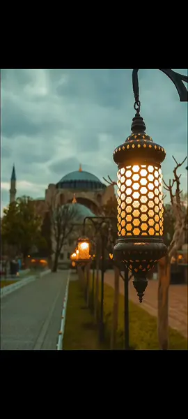 #قرآن_كريم #creatorsearchinsights #القران_الكريم #قران 