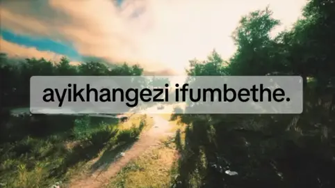 #dlozilami🕯🐊🐅 #dlozilamivuma #youngsangomasworldwide❤️🥺sangoma #thongalamingivikele #amathwasana🙏 #mndaumuthishop #mkhul #thambola #selfinitiate #isilawu #thobela ##fyppppppppppppppppppppppp 