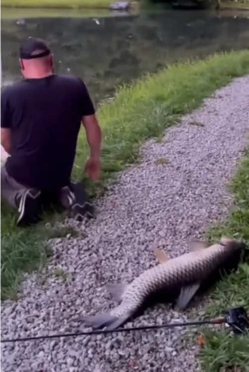 Interesting fishing mistakes#funny #funnyvideos #usa🇺🇸 #tiktok #fish #fail #fishfail 