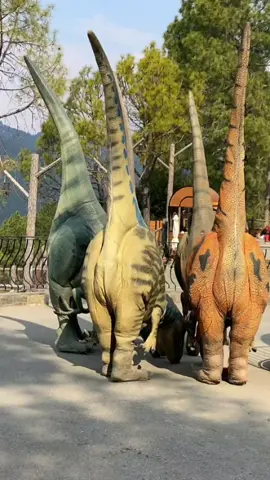 #moment #Adventure #Thrill #Fun #DinovalleyPK 