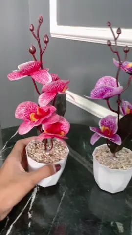 Totalnya ada 11 pot tanaman say. Buanyak banget😱😭 #bungahiasmurah #buah #daun #dekorasirumah #tanamanhias #pakethemat #100ribudapatbanyak #anggrek #fyp #foryoupage 