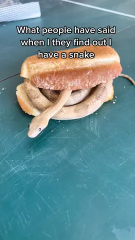 36 I love this trend  #linguini #trend #googlyeyes #petsnake #notscary #dangernoodle 