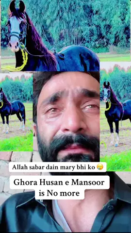 Shoqeen hazrat samaj skty hain is Dukh Takleef ko 💔💔😥😭😭#foryourepage #foryou #foryou 
