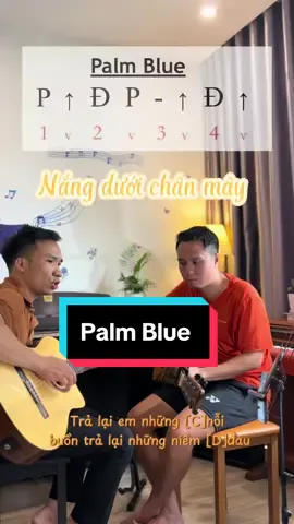 Palm Blue cho “Nắng dưới chân mây” #nangduoichanmay #guitar #thaytuandaydan #xuhuong2025 