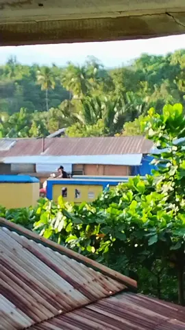 #helemkuning_imip👷🥰 