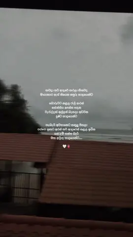 🤍🫀
