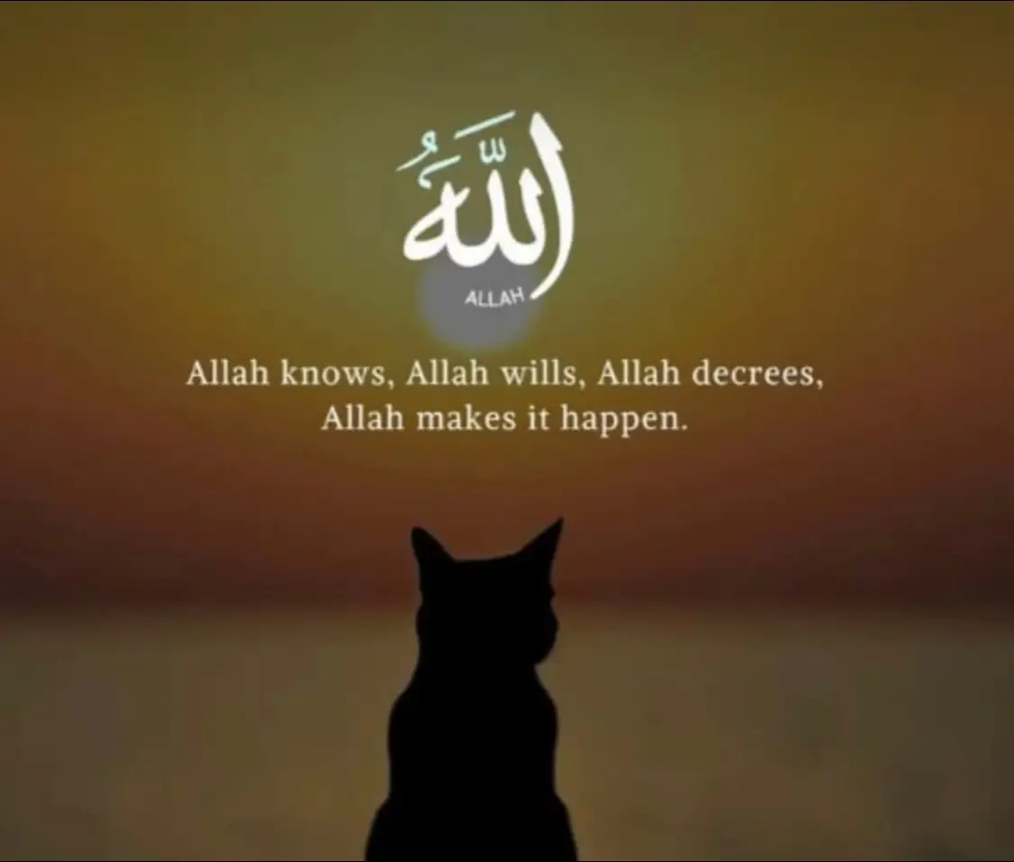 #havepatience #everythinghappenedforareason#allhumdulilahforeverything❤#fypシ゚viral🖤tiktok