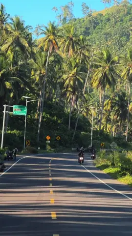 Terpantau cuaca jls tulungagung sangat mendukung dora 🌴 #jlstulungagung #tulungagung 