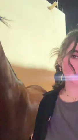 ان قررر مع فزاعي@مربط نايف العز للخيل العربيه🐎 #خيل_وخياله🐎 #خيالة #خيول #خيول_عربيه 