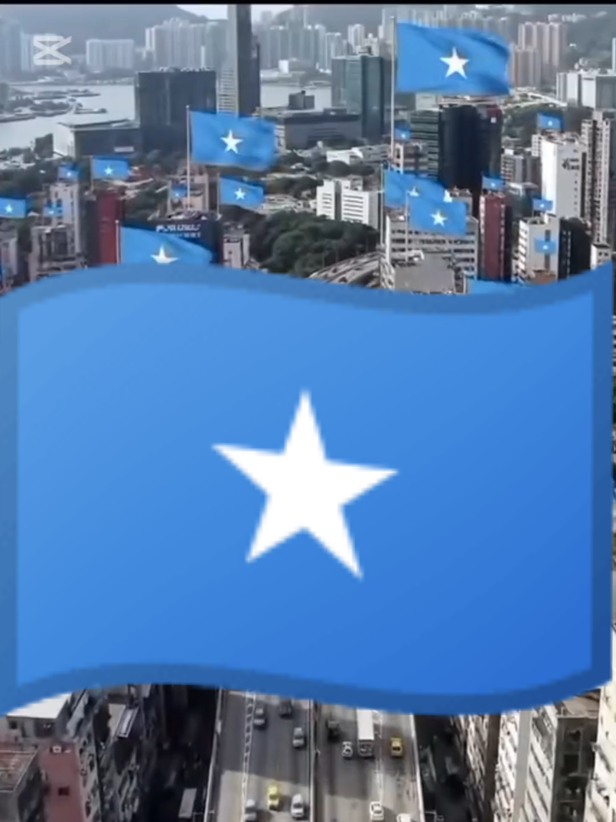 #somali🇸🇴🇸🇴 #usa🇺🇸🇺🇸 #france🇫🇷🇫🇷 #amerique🇺🇸🇺🇸 #côtedivoire🇨🇮🇨🇮 #senegal🇸🇳🇸🇳 #cameroun🇨🇲🇨🇲 #newyork #flypシーly 
