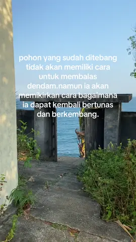 #fyp #galaubrutal #foryoupage 