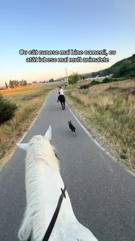 #romania 