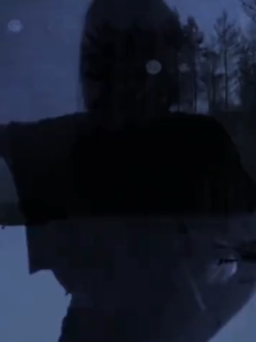 Vanished 🎧 #crystalcastles #aesthetic #lyricsvideo #lyrics_songs #lyricsedit #winteraesthetic #aliceglass #edithfrances #synthpop 