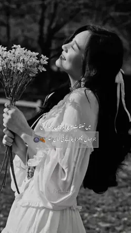 .. .. .. .. .. .. .. .. .. #bt_elal_ahreem 