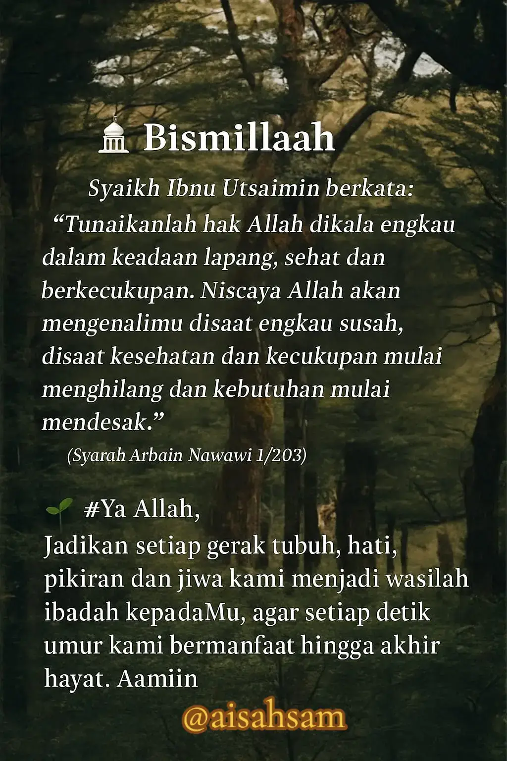 Jangan tunggu sempit baru mengingat Allah… Tunaikan hak-Nya saat kita diberi kelapangan, kesehatan dan rezeki. Niscaya Allah akan bersama kita saat masa sulit datang. 🤍 Semoga setiap langkah dan detik usia kita menjadi jalan menuju ridha-Nya. Aamiin yaa Rabb 🤲 📖 Syarah Arbain Nawawi 1/203 #nasihatulama  #renunganhatiislami  #dakwahvisual  #selfreminder 