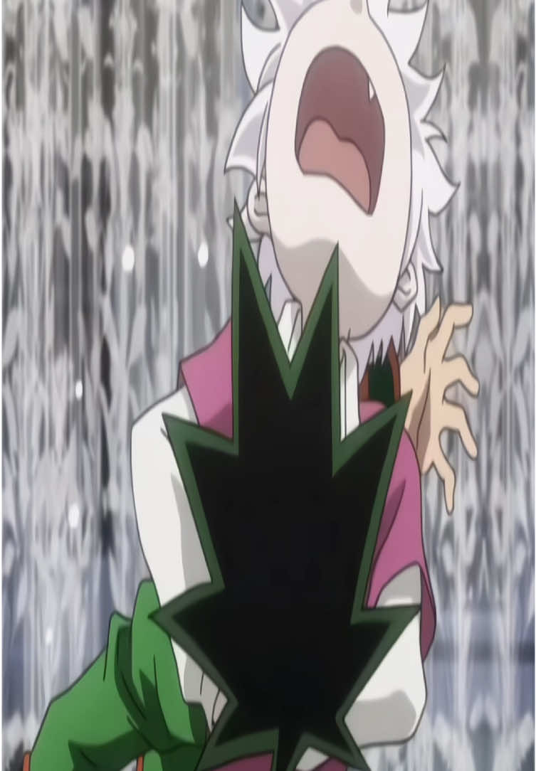 so silly | #killua + #gon  | #hxh #hunterxhunter #gon #killua #killuazoldyck #gonfreecs #fyp #xbcyza #4u #edit #silly #gonedit #killuaedit #gonandkillua #killuaandgon 
