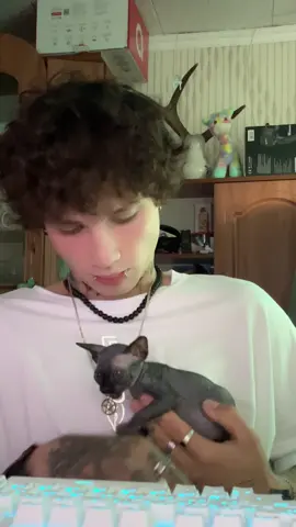🖤🕸️🕷️