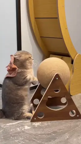 Hand wrapped sword hemp rope cat scratching ball cat scratching column wooden toy pet supplies#sisalscratchingball #catscratcher #catscratchingfurniture #catball #scratching #scratchingballforcats #funnypet #catfurniture #cataccesories #catfinds