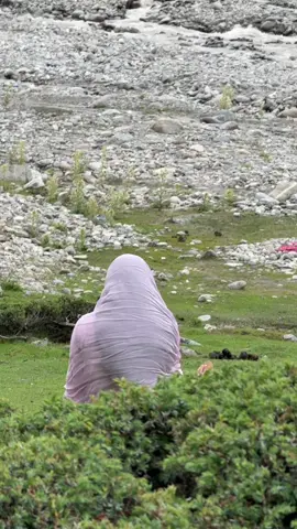 ✨پھر وہ خسارہ ہمیشہ یاد رہتا ہے جو مخلص ہو کے کھایا ہو😊#heerkhan #nature #explorepakisatan #naturevibes #mountains #astorevalley #foryoupage #foryoupage #tiktok 