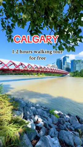 You can walk in the Calgary downtown for 1-2 hours for free. I started to walk from Prince's Island until i get tired and end up eating at Steven's Ave. These are the places, i have seen. You can try too. #calgary #canada_life🇨🇦 #park #peacebridge #downtown #explore #travel #traveltiktok #fyp #canada #alberta #summermashup #todo #mustsee
