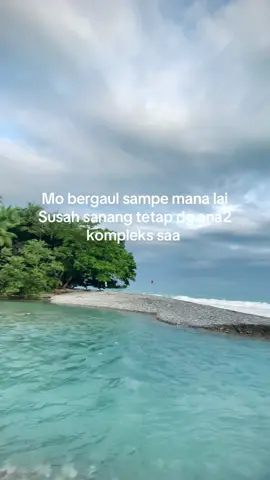 #ambontiktok 