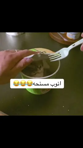 #لايك_متابعه_اكسبلور #الشعب_الصيني_ماله_حل😂😂 