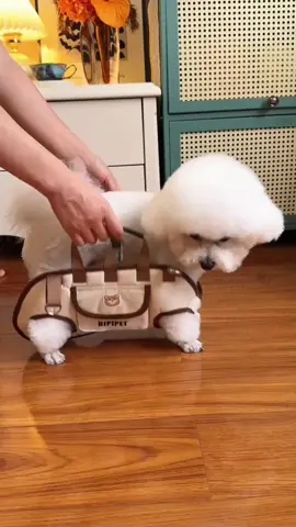 Click Link in our homepage to order your now ✅ #PetParentEssentials #bichonfrisé #dogsaccessories #cutepetgoodies #dogcarrierbag  #DogCare #dogownersoftiktok 