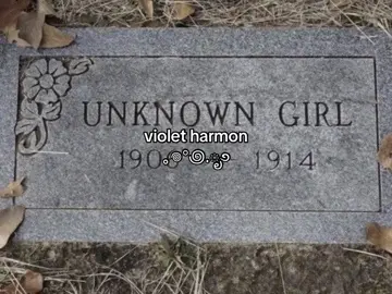 feeling so autumnal !! #fyp #foryou #moodboard #aesthetic #whimsical #relatable #mecore #corecore #core #whimsygoth #nature #gloomy #darkaesthetic #gothic #southerngothic #appalachia #americanhorrorstory #ahs #ahsmurderhouse #violet #violetharmon #grunge #grungeaesthetic #riotgirl 