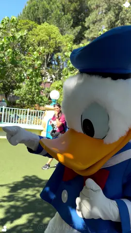 Disney's funny Donald.#fyp #foryou #funny #disneyland