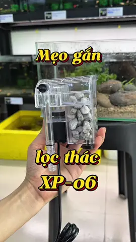Mẹo gắn lọc thác mini phù hợp cho hồ dưới 30cm #locthac #lochoca #xp06 #caitiemthuysinh #cabaymau 