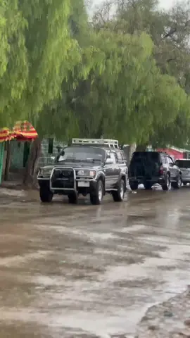 masha allH cergaabo 🥰😍