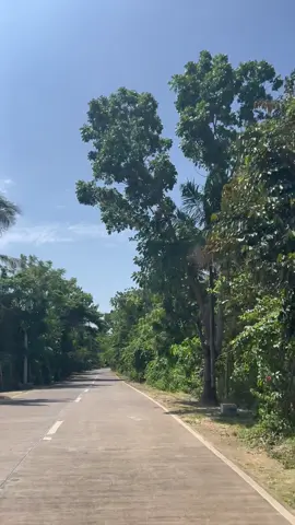 better than city🍃💚🌿🌴#naturetrip🌲🍃 #rideswithfriends #fyyyyyyyyyyyyyyyy 