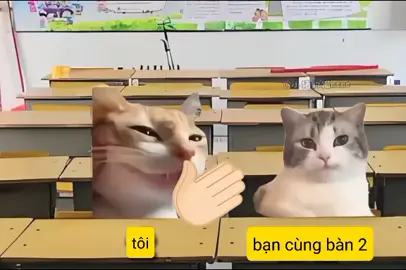 #memes #xuhuong #viral