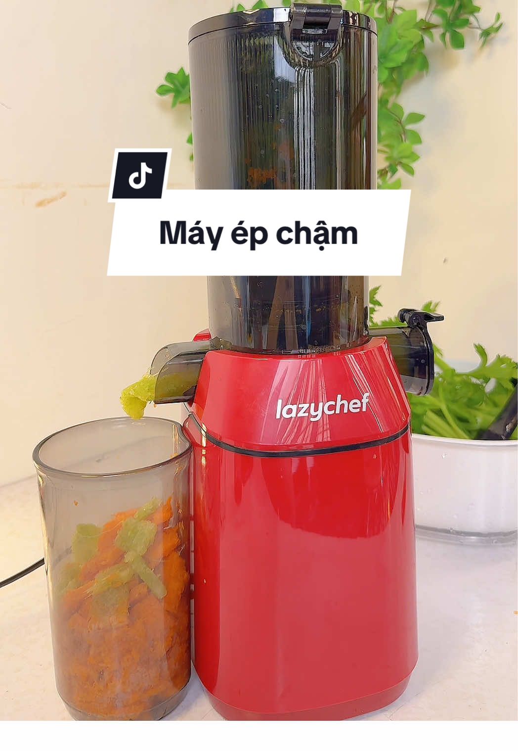Máy ép chậm lazychef, ép rau vô tư #xuhuongtiktok #xuhuong #mayepcham #mayeptraicay #mayepchamlazychef 