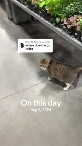 #onthisday 