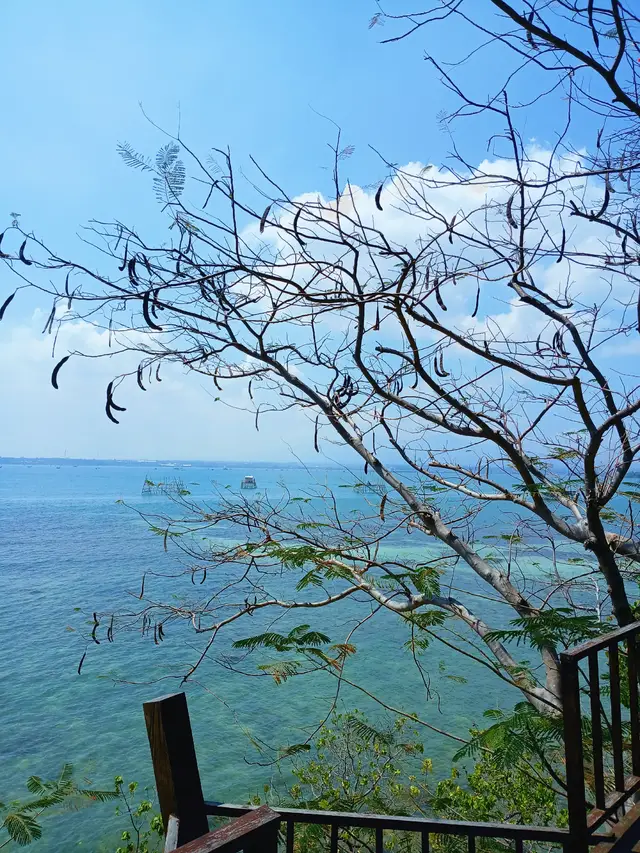 Pulau yang pantainya bersih dan indah dijepara🍃#pantai #pulaupanjang #jepara #fypシ゚viral🖤tiktok #fyp #viralvideos #foryou 