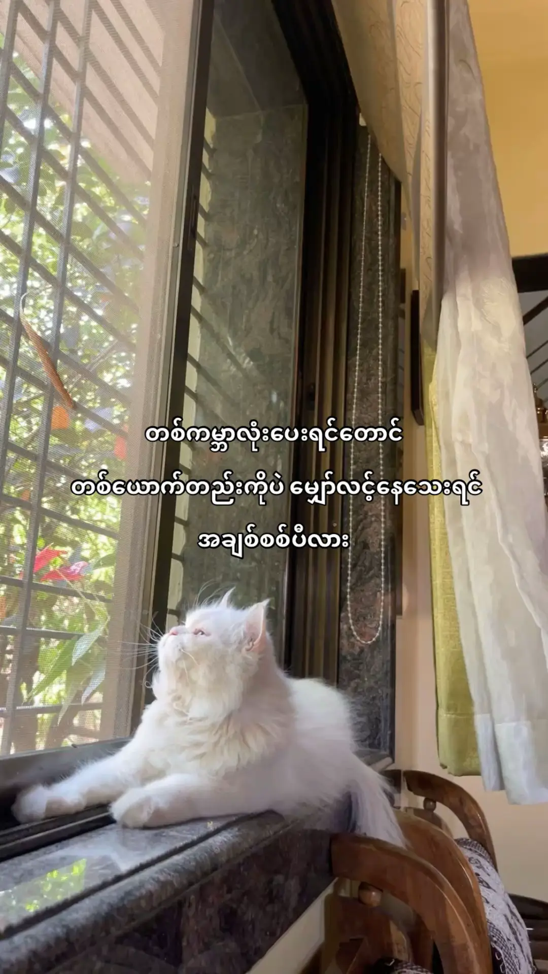 Text crd #H #views #crush  #fyppppppppppppppppppppppp #foryoupage #burmese #fypシ゚viral 