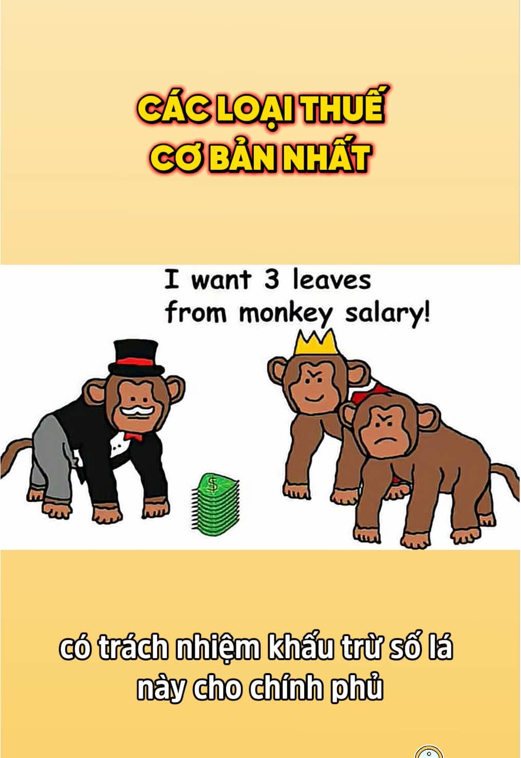 Các nghĩa vụ th.uế của người dân #xuhuong #kienthuckinhte #LearnOnTikTok #hoccungtiktok #thuethunhapcanhan 