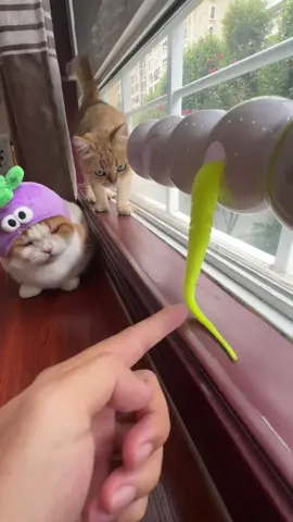 🐛⚡ **Self-play mode: ACTIVATED!** 🤖😻 Let your kitty chase, pounce, and *obsess* over the ** Smart Caterpillar Toy**! This suction-cup-powered wiggler uses *motion sensors* to dart and dance—keeping cats entertained for hours (even when you’re busy!). 🔋🎉  👉 **SWIPE** to see it in action—*chaos guaranteed*!  ✨ **Smart sensor tech** = endless unpredictable moves!  ✨ **Rechargeable** = no battery hassle.  ✨ **Suction cup base** = stays put during wild play!  💬 Comment “CATERPILLAR” to treat your cat to this spring’s *must-have* toy! 🌸  #SmartCatToys #allforpaws #CaterpillarChaos #CatLovers #SelfEntertainment #PetTech #PlaytimePerfection  —  **P.S.** Warning: May cause *extreme* zoomies, midnight “hunts,” and a cat demanding CEO status. 😼🌙