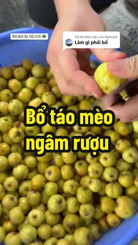 Trả lời @Minhanh Bổ Táo Mèo ngâm rượu #ruouneplangrem #ruou #taomeo #ruoutaomeo 