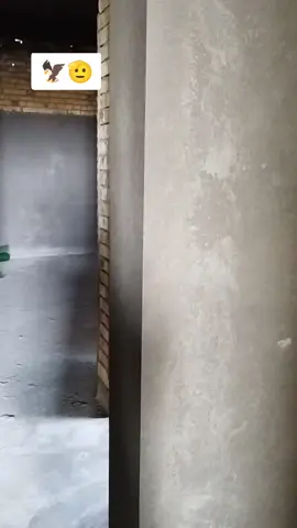 #الناصريه #قلعه_سكر #الشعب_الصيني_ماله_حل😂😂 